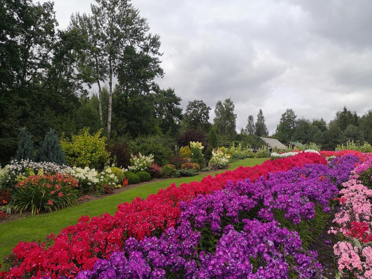 Cucumuiza Villa Kuldīga Dış mekan fotoğraf
