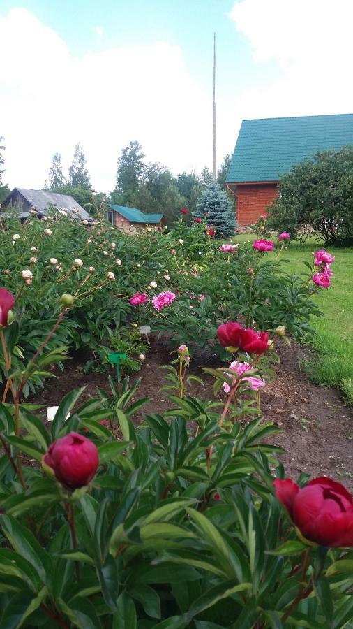 Cucumuiza Villa Kuldīga Dış mekan fotoğraf